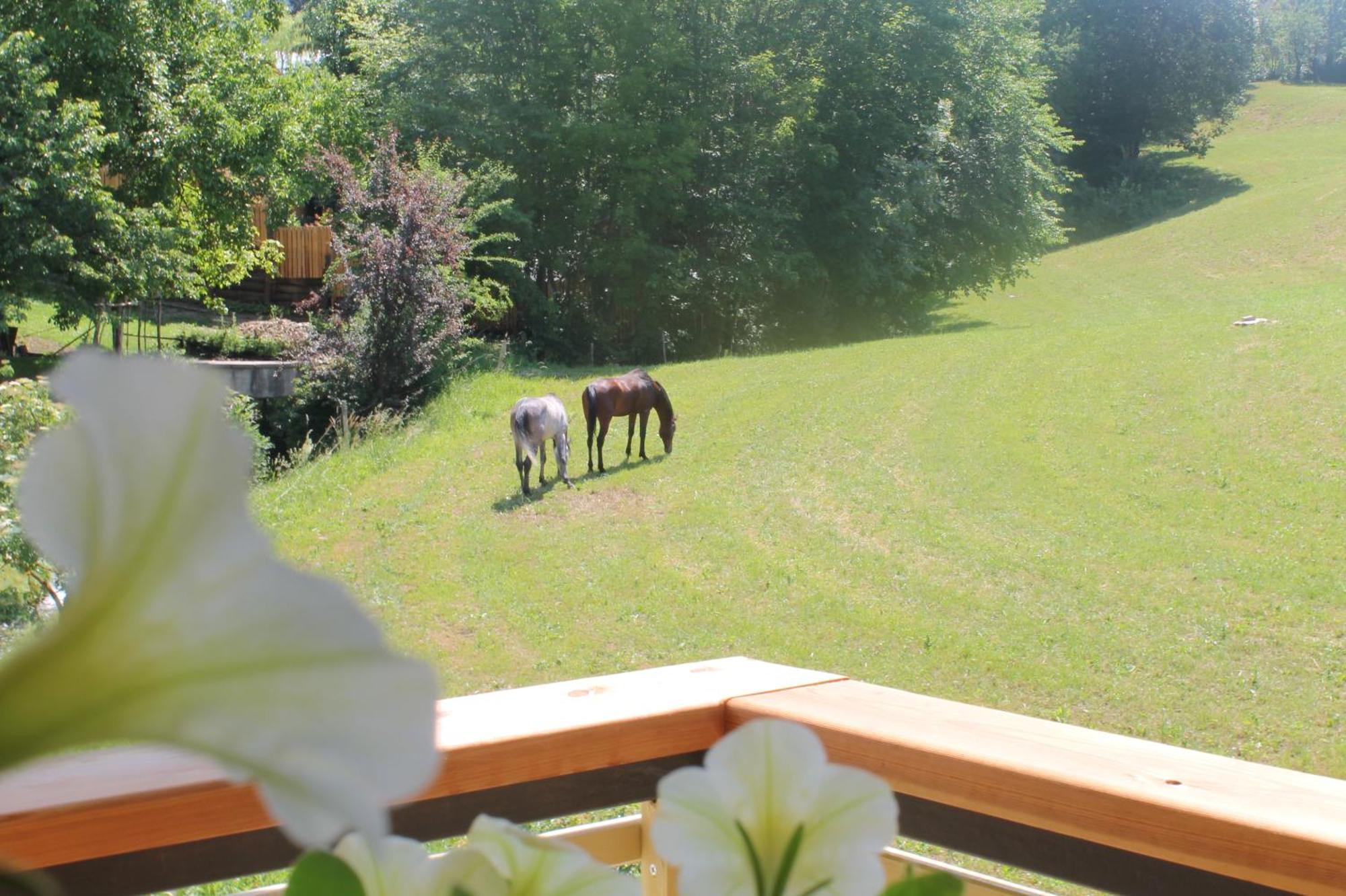 House Gabrijel With Four Seasons Outdoor Kitchen Villa Bled Exterior photo